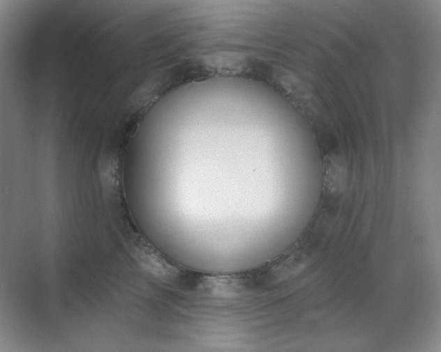 X0000071940713200607071144