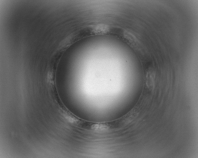 X0000071940714200607071144