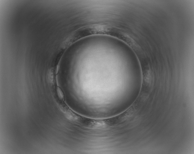 X0000071940715200607071144