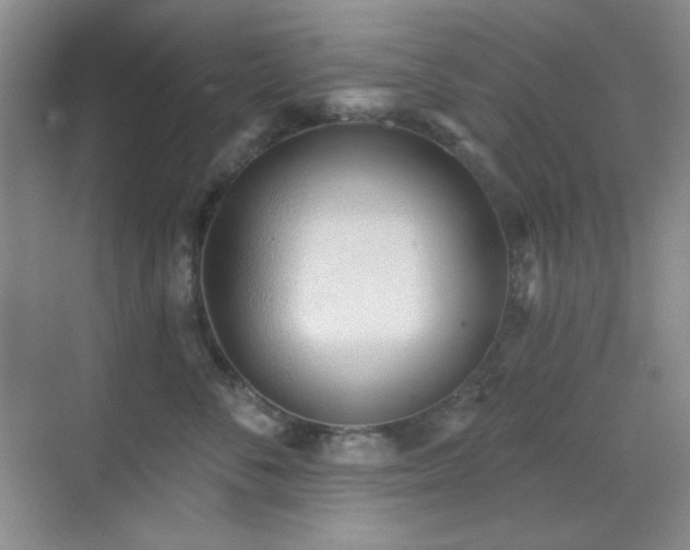 X0000071940716200607071144