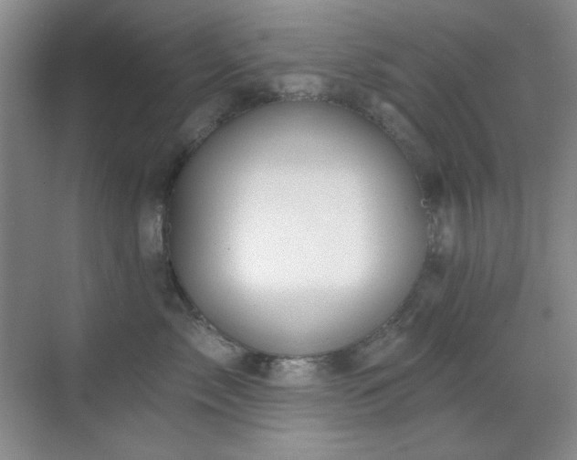 X0000071940717200607071144