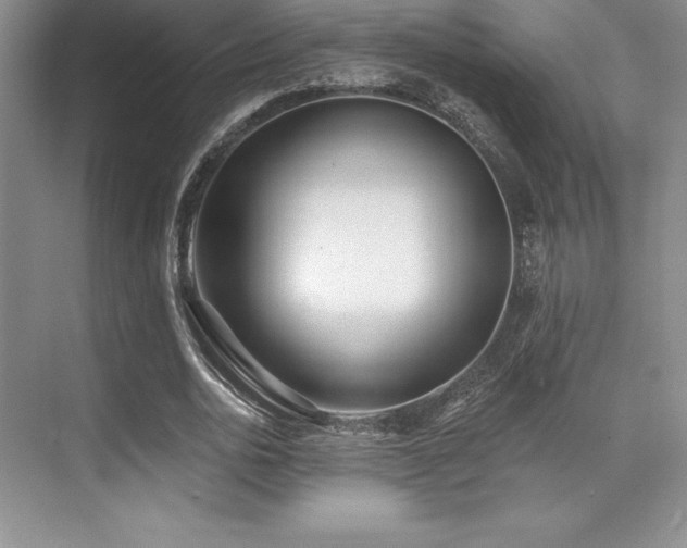 X0000071940726200607071143