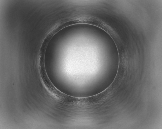 X0000071940730200607071143
