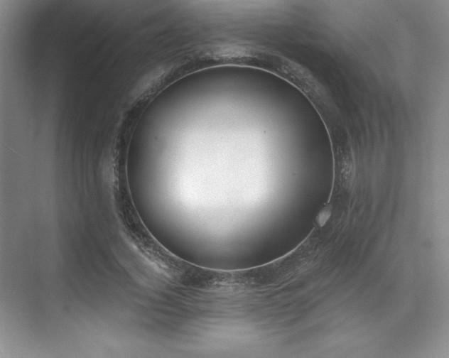 X0000071940732200607071143