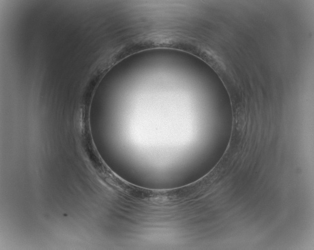 X0000071940740200607071143