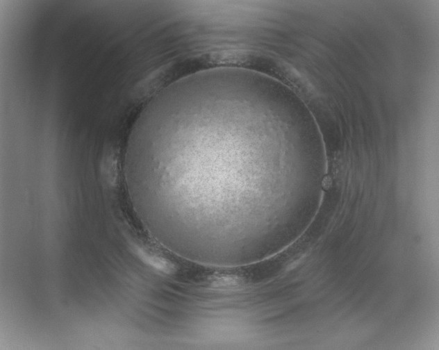 X0000071940741200607071143