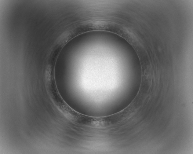 X0000071940744200607071143