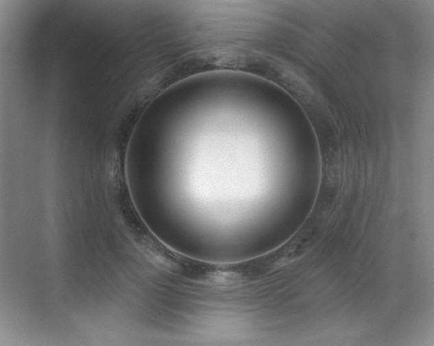 X0000071940748200607071144