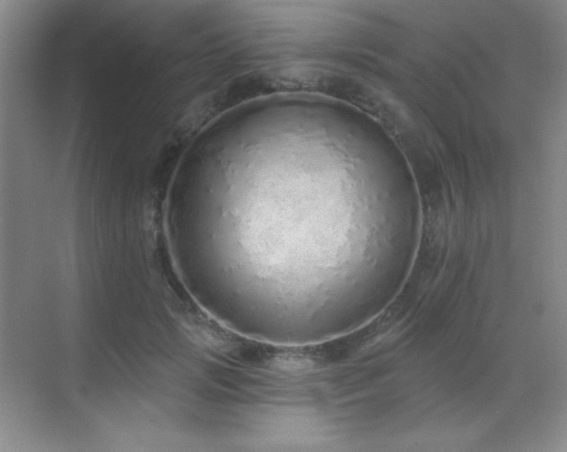 X0000071940749200607071144