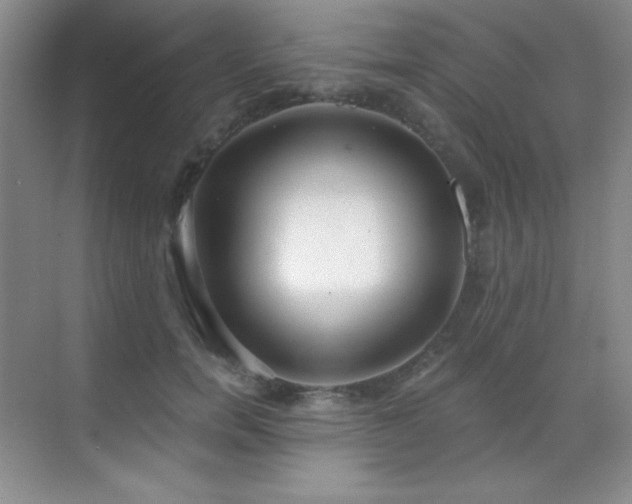 X0000071940750200607071144