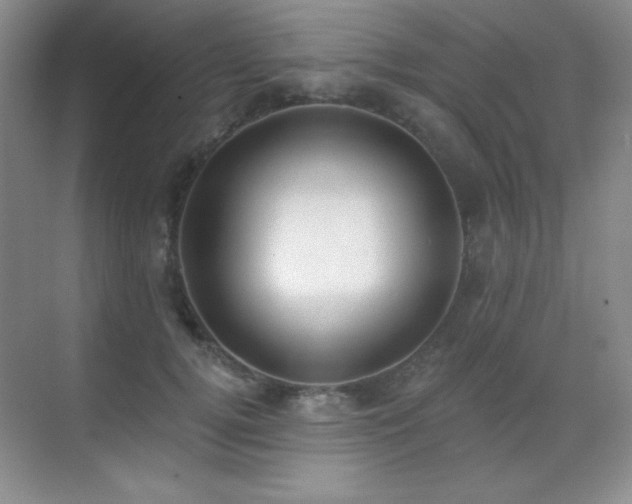 X0000071940752200607071144