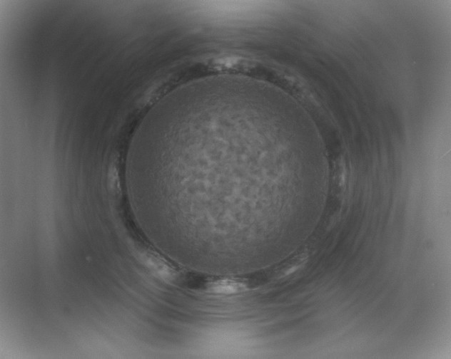 X0000071940754200607071144