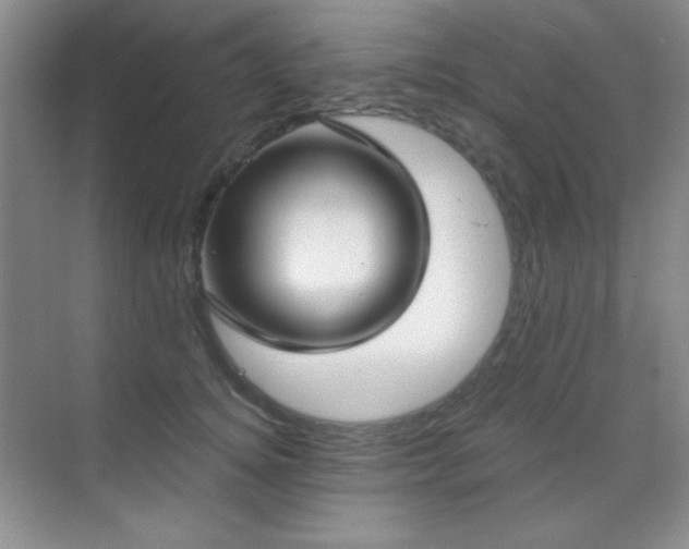 X0000071940756200607071144