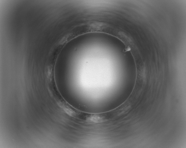 X0000071940759200607071144