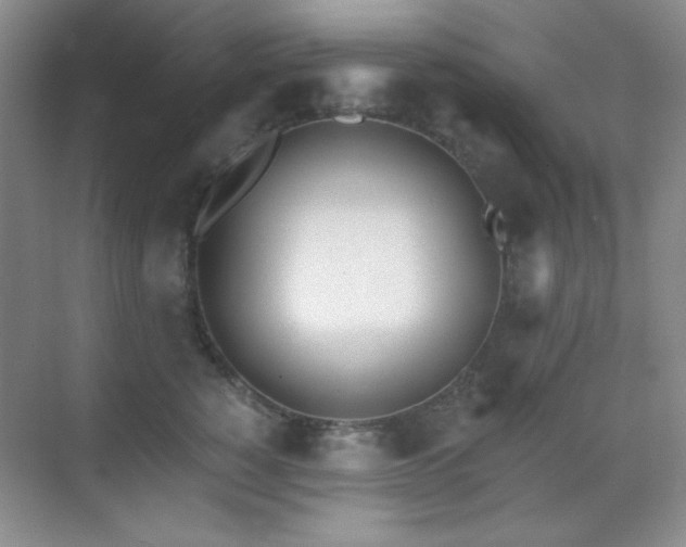 X0000071940760200607071144