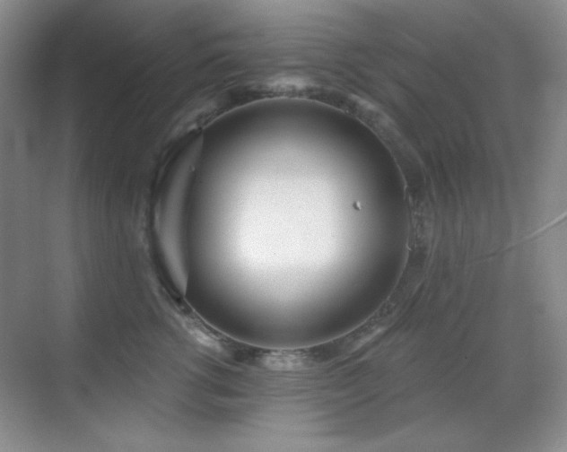 X0000071940762200607071144