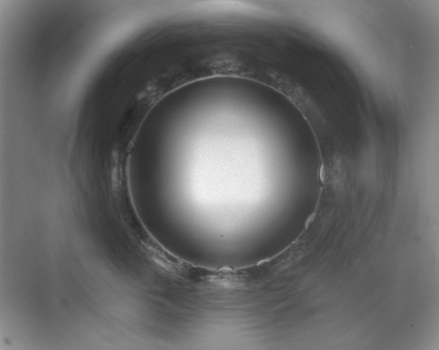 X0000071940763200607071144