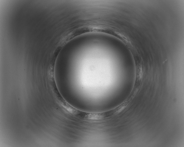 X0000071940766200607071144