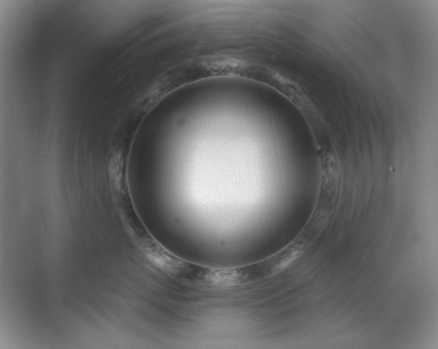 X0000071940767200607071144