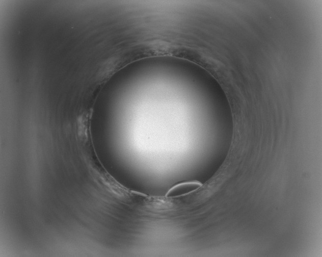 X0000071940768200607071144