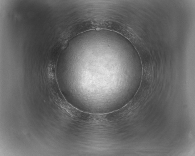X0000071940770200607071143
