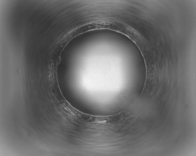 X0000071940773200607071143