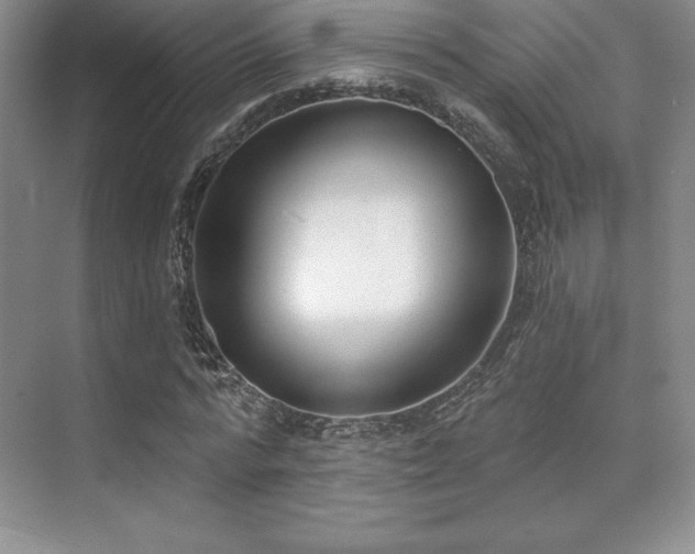 X0000071940776200607071143