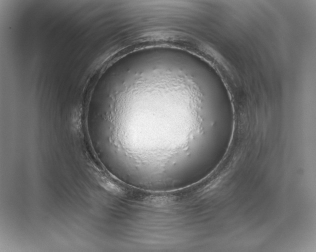 X0000071940778200607071143