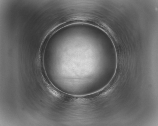 X0000071940779200607071143