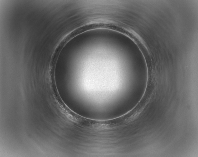 X0000071940783200607071143