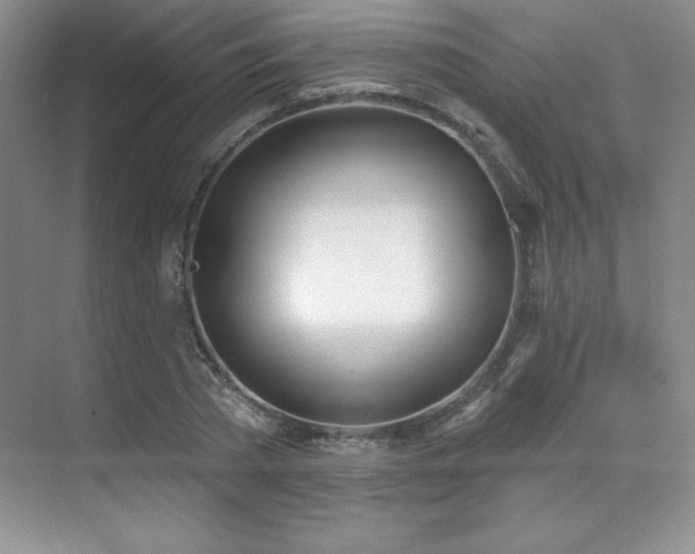 X0000071940785200607071143