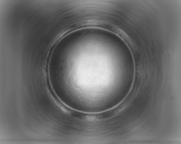 X0000071940794200607071143