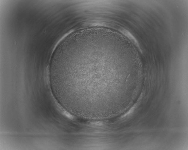 X0000071940798200607071143