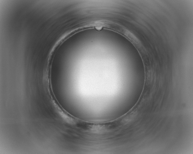 X0000071940800200607071143