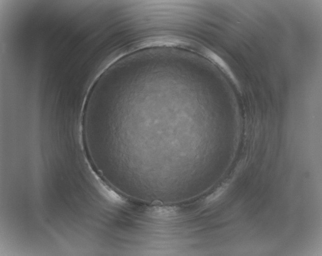 X0000071940802200607071143