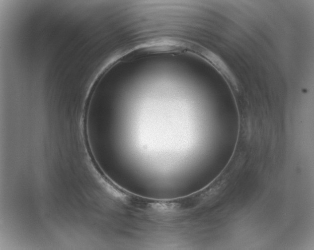 X0000071940805200607071142