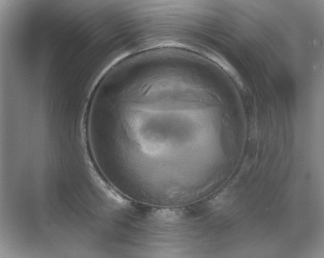 X0000071940806200607071142