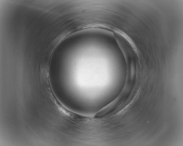 X0000071940809200607071142