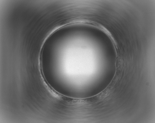 X0000071940811200607071142