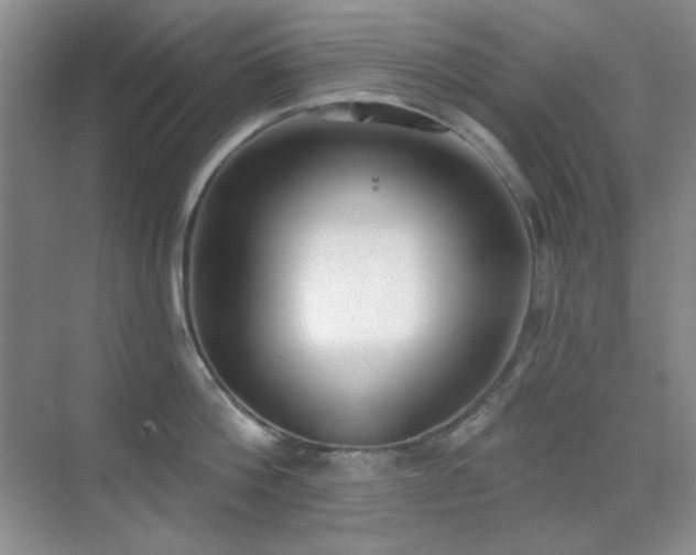 X0000071940812200607071142