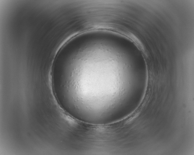 X0000071940814200607071142