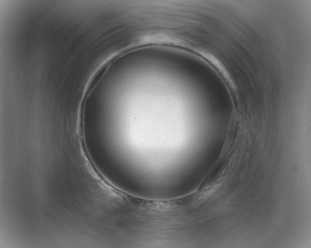 X0000071940815200607071142