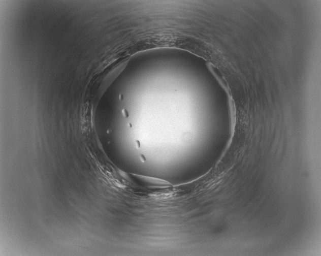 X0000071940818200607071141