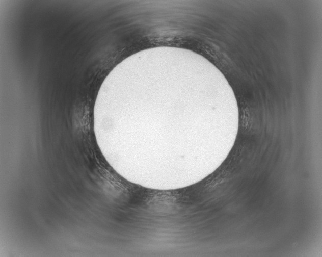 X0000071940820200607071142