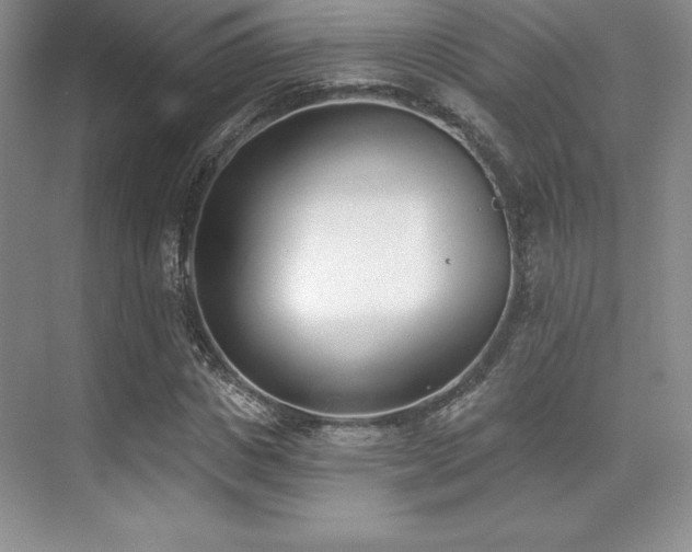 X0000071940825200607071142