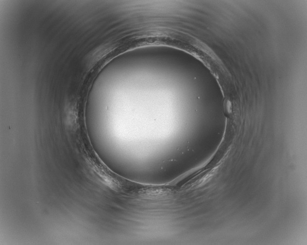 X0000071940826200607071142