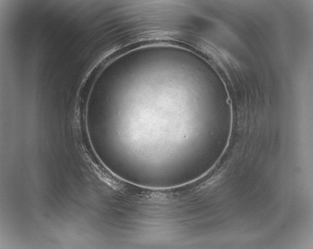 X0000071940827200607071142