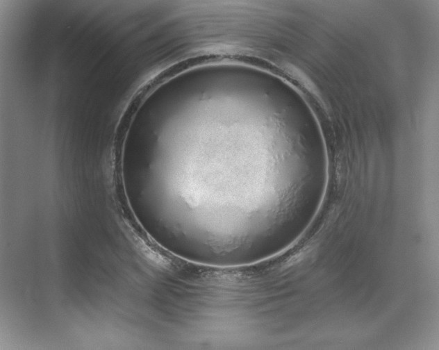 X0000071940831200607071142