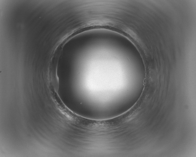 X0000071940834200607071142