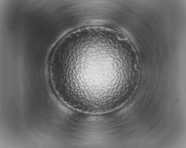 X0000071940835200607071142